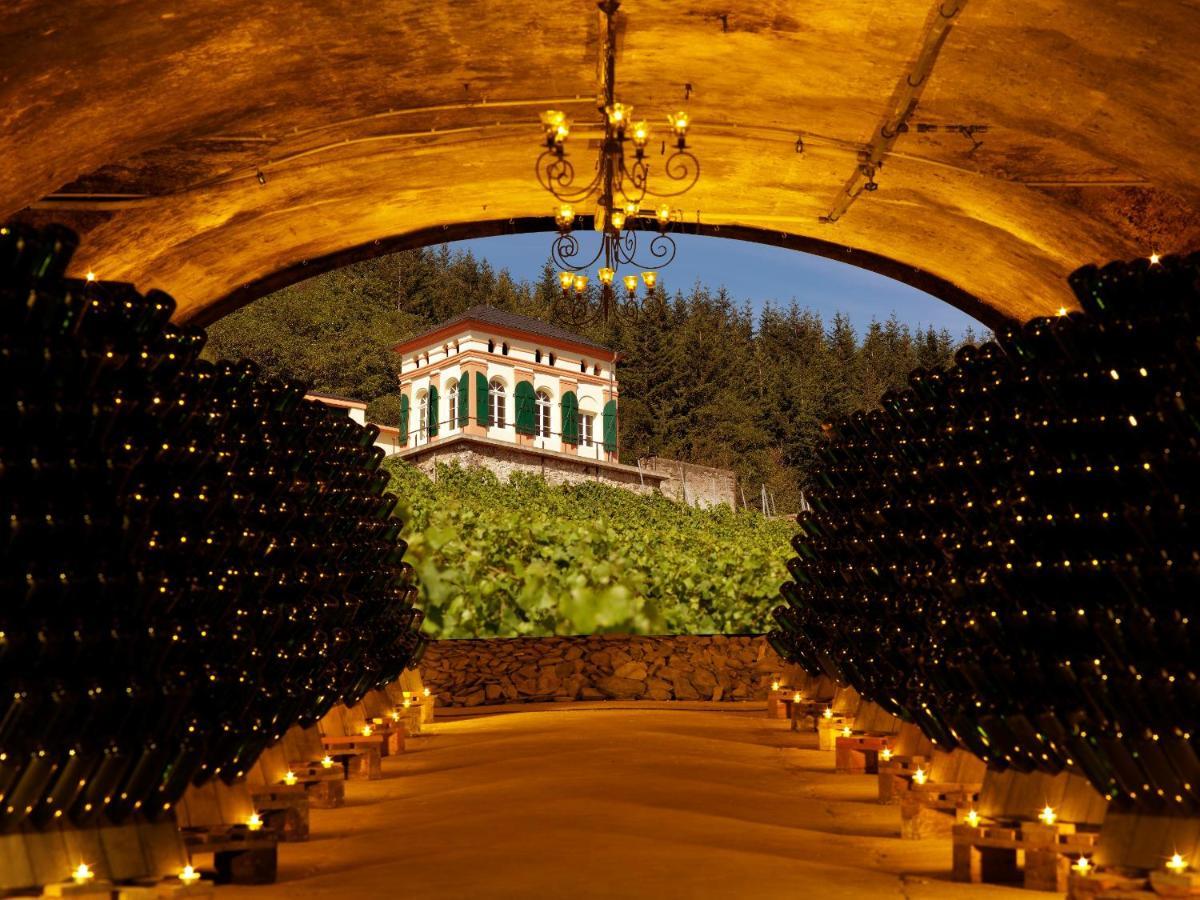 מולהיים אן דר מוזל Weinromantikhotel Richtershof מראה חיצוני תמונה